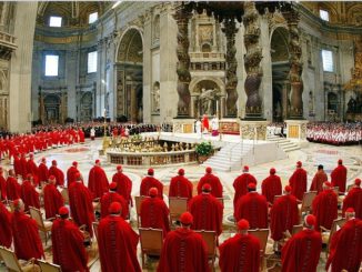 Bisher haben sich 16 Kardinäle zu den Dubia (Zweifel) an Amoris laetitia zu Wort gemeldet.