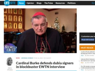 Kardinal Burke spricht sich für einen Zeitplan für eine Correctio fraterna von Papst Franziskus wegen Amoris laetitia aus.