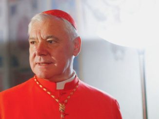 Papst Franziskus: Nulltoleranz oder zweierlei Maß gegenüber pädophilen Priestern?