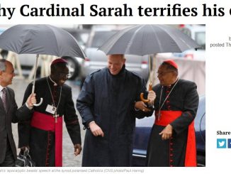 Warum Kardinal Robert Sarah "für alle Liberalen ein Alptraum ist". Diese Frage geht Matthew Schmitz nach.