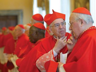 Kardinal Re und Kardinal Sodano (rechts) - heute Dekan und Subdekan des Kardinalskollegiums - unmittelbar nach der Rücktrittsankündigung von Papst Benedikt XVI.