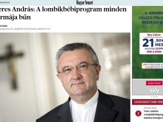 Vorsitzender der Ungarischen Bischofskonferenz warnt vor IVF und empfiehlt kinderlosen Eltern die Adoption.