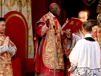 Präzisierung von Kardinal Sarah zum geänderten Canon 838, der Übersetzung der liturgischen Bücher in die Volkssprachen.