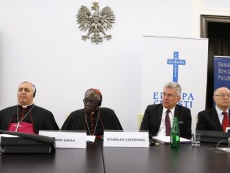 Kardinal Sarah: Länder haben ein Recht zwischen politischen und religiösen Flüchtlingen und Wirtschaftsmigranten zu unterscheiden.