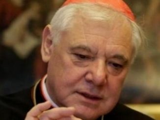 Kardinal Müller: „Es kommt nur darauf an, was Jesus Christus gesagt hat, nicht was die Kardinäle oder der Papst sagen“.