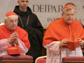 Kardinal Burke und Kardinal Brandmüller: Es ist dringend notwendig, daß der Papst in Ausübung seines vom Herrn empfangenen Amtes seine Brüder im Glauben stärkt und der Verwirrung um Amoris laetitia ein Ende setzt.