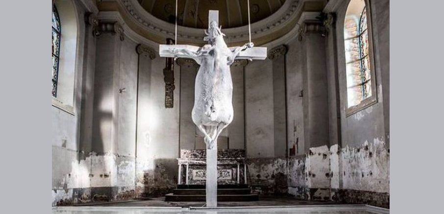 „Gekreuzigte Kuh“ in einer Kirche des Bistums Hasselt (Limburg)