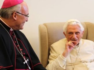 Bischof Voderholzer am Montag bei Benedikt XVI.