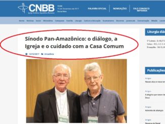 Kardinal Hummes und Bischof Kräutler lenken Vorbereitungen für die Amazonas-Synode.