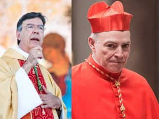 Neue Erzbischöfe für zwei wichtige Metropolitankirchen ernannt.