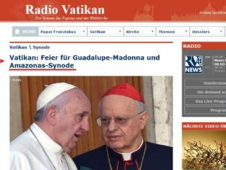 Vox Papae: Kurienkardinal Lorenzo Baldisseri sprach mit Radio Vatikan über die Amazonas-Synode, für die Papst Franziskus gestern eine Heilige Messe feierte.