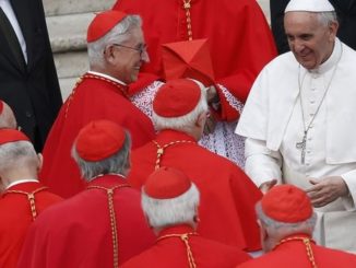 Will Papst Franziskus ein spezielles Treuebekenntnis der Kardinäle zu seinem Lehramt einführen? Das ist nur ein Gerücht, nichts mehr und nichts weniger. Tatsache ist, daß immer mehr Gläubige ein Glaubensleben ohne Santa Marta führen.