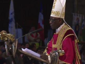 Kardinal Robert Sarah: Pfingstwallfahrt der Tradition, Kathedrale von Chartres