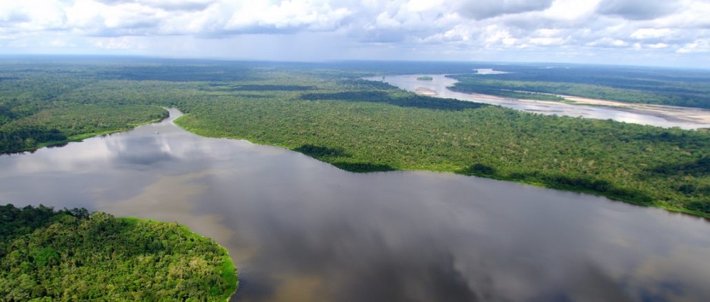 Amazonassynode