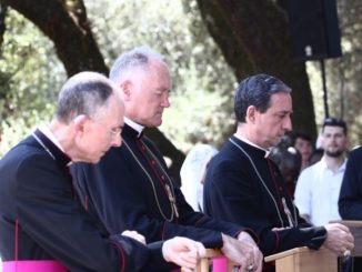 Dreißig Jahre unerlaubte Bischofsweihen