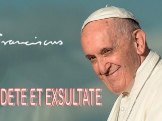 Gaudete et Exsultate oder Gaudete et Insultate? Das Apostolische Schreiben von Papst Franziskus