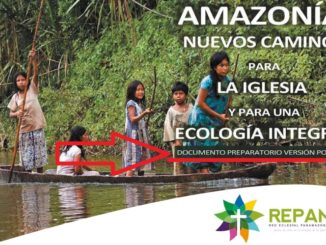 Amazonassynode