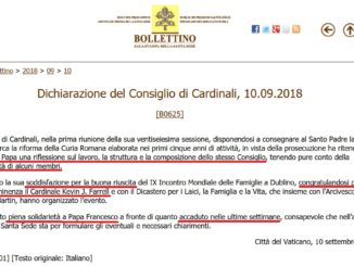 Papst Franziskus C9-Kardinalsrat