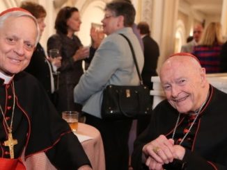 Homo-Seilschaften in der Kirche: Neue Enthüllungen über Homo-Kardinäle