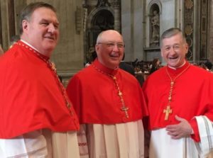 Von Franziskus ernannte US-Kardinäle: Tobin, Farrell, Cupich werden der McCarrick-Gruppe zugerechnet.