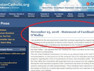 Sexueller Mißbrauchsskandal: Kardinal O'Malley reagierte auf die Ernennung des Organisationskomitees für den Sondergipfel und ließ die Öffentlichkeit und Papst Franziskus einiges wissen.