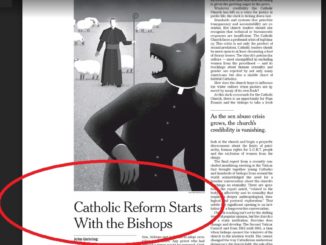 John Gehrings Kommentar in der New York Times - und die Wechselwirkung dieser Zeitung mit Papst Franziskus.