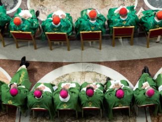 Stellt Papst Franziskus den Mißbrauchsgipfel im Februar 2019 mit dem Cupich/Wuerl-Vorschlag vor vollendete Tatsachen?