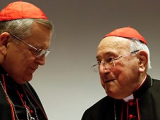 Kardinal Burke und Kardinal Brandmüller fordern in einem offenen Brief die Teilnehmer des vatikanischen Mißbrauchsgipfels auf, das Schweigen zu brechen.