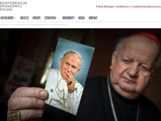 Kardinal Dziwisz verteidigt Johannes Paul II. gegen "voreingenommene" Kritik.