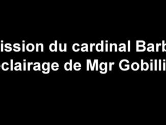 Kardinal Barbarin tritt zurück, ohne daß Schuldfrage geklärt ist.