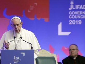 Papst Franziskus hat eine "politische Sicht" der Dinge und betreibt ein "politisches Pontifikat", „eine gefährliche Entwicklung für die Kirche“.
