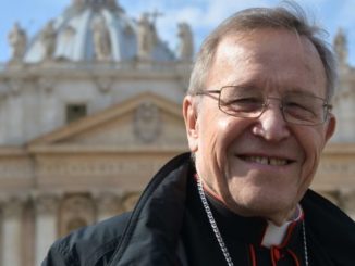 Kardinal Kasper beklagt, „Verschwörungstheorien“ ausgesetzt zu sein, bestätigt aber gleichzeitig die Vorwürfe.