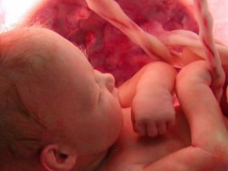 Das Wunder des Lebens: Ungeborene Kindern will Neuseelands Regierung den Status als Mensch absprechen.