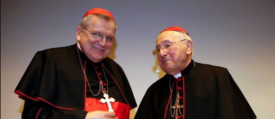 Zwei der profiliertesten Kardinäle warnen das Kardinalskollegium vor der umstrittenen Amazonassynode. Der ultragrogressive Flügel in der Kirche versuche einen Angriff gegen das Depositum fidei.