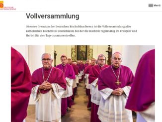 Deutsche Bischofskonferenz auf Konfrontationskurs: Was sagt der Apostolische Nuntius den Bischöfen?