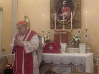 Kardinal Burke zelebriert jeweils am Ersten des Monats die Heilige Messe im Anliegen der Gebetsaktion Operation Storm Heaven, morgen besonders mit Blick auf die Amazonassynode.