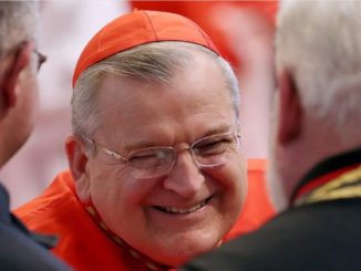 Kardinal Burke: „Deutsche Bischöfe sagen, die Amazonassynode soll die Kirche revolutionieren“.