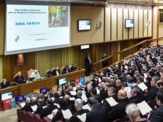 Wissen Österreichs Bischöfe und der Primas von Mexiko bereits mehr, als der Rest der Kirche?