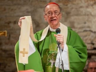 Kardinal Claudio Hummes bei der „Eucharistie des Pakts“ am 20. Oktober 2019 in den Domitilla-Katakomben