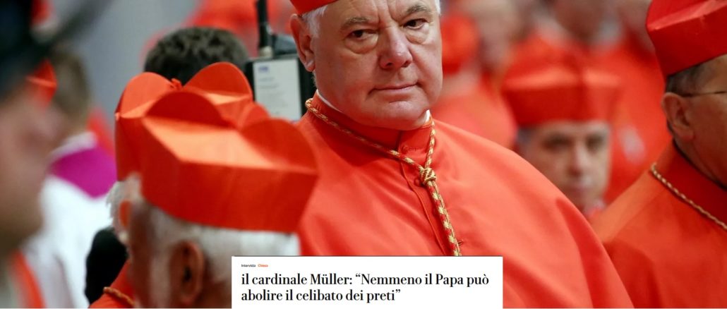„Der Papst sollte über seine Schmeichler nachdenken“