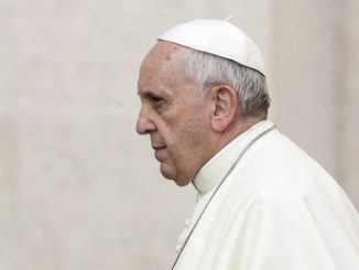 Die Analyse zum nachsynodalen Schreiben Querida Amazonia und die Frage: Wer ist nun eigentlich Papst in Rom?