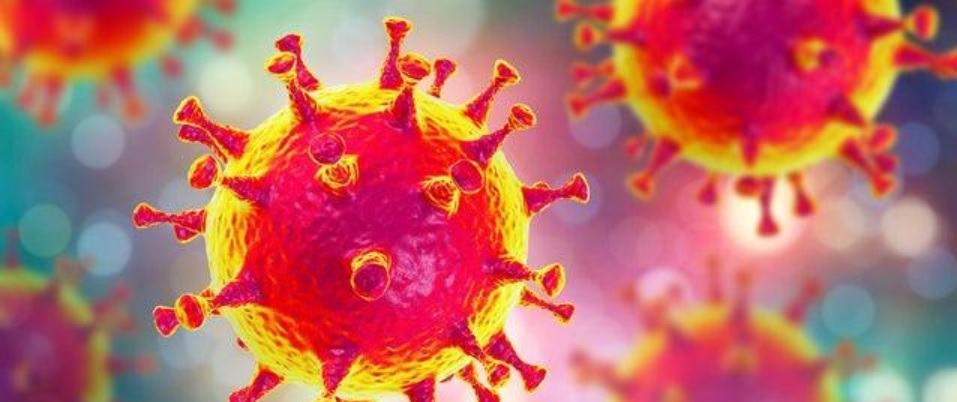 Das Coronavirus – warum ist die Sterblichkeitsrate in Italien so hoch und in Südkorea so niedrig?