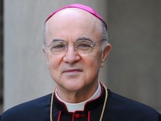 In einem neuen Interview kritisiert Erzbischof Carlo Maria Viganò, daß ein Konnubium aus Modernisten und der Freimaurerei eine „Neo-Kirche“ schaffen wollen.