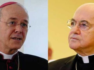Weihbischof Athanasius Schneider und Erzbischof Carlo Maria Viganò haben Forderungen formuliert, die in der Kirche Unterstützung und Ablehnung provozieren, aber niemand, dem die Kirche ein wirkliches Anliegen ist, gleichgültig lassen können.