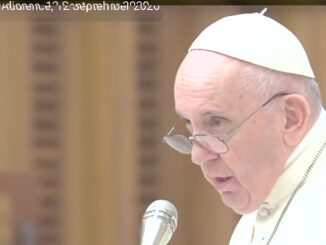 Papst Franziskus sprach am vergangenen Samstag zu den "Gemeinschaften Laudato si'"