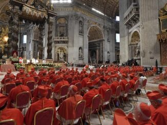 Mit dreizehn weiteren Kardinälen baut Papst Franziskus das Kardinalskollegium um.