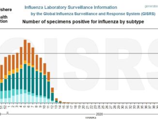 Die verschwundene Grippe: Seit es Corona gibt, gibt es keine Grippe mehr - sagt die WHO.