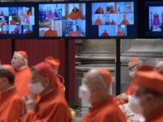 Papst Franziskus kreierte am Samstag 13 neue Kardinäle in bizarrem Rahmen.