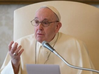 Papst Franziskus McCarrick Bericht