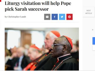 The Tablet: "Visitation ist eine Visitation, aber keine Visitation". Im Bild Kardinal Robert Sarah.